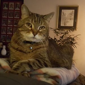 Meet your Posher, Tina